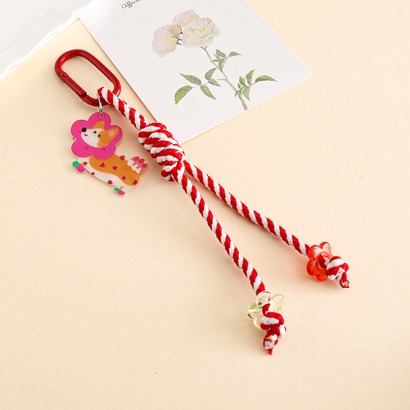 Phone Lanyard Dopamine-Colored - Ysl Phone Accessories recension och pris